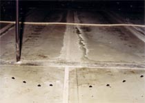 Thermographic Survey of a Damaged Cold Store Roof