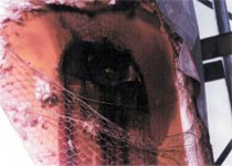 Catastrophic Failure of a Semi-Continuous Deodoriser Heating Coil