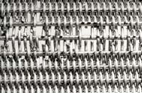Stress Corrosion Cracking of a Pressure Filter Mesh