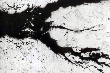 Stress Corrosion Cracking of a Pressure Filter Mesh