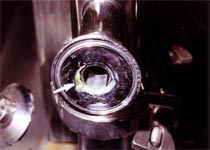 Premature Corrosion Failure of a Stopper Washer and Sterilising Machine