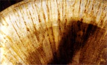 Pitting Corrosion of a Process Vessel and Biobore Drain Pipe