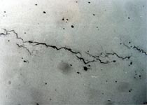 Stress Corrosion Cracking of an Ambient Temperature Ammonia Receiver Vessel